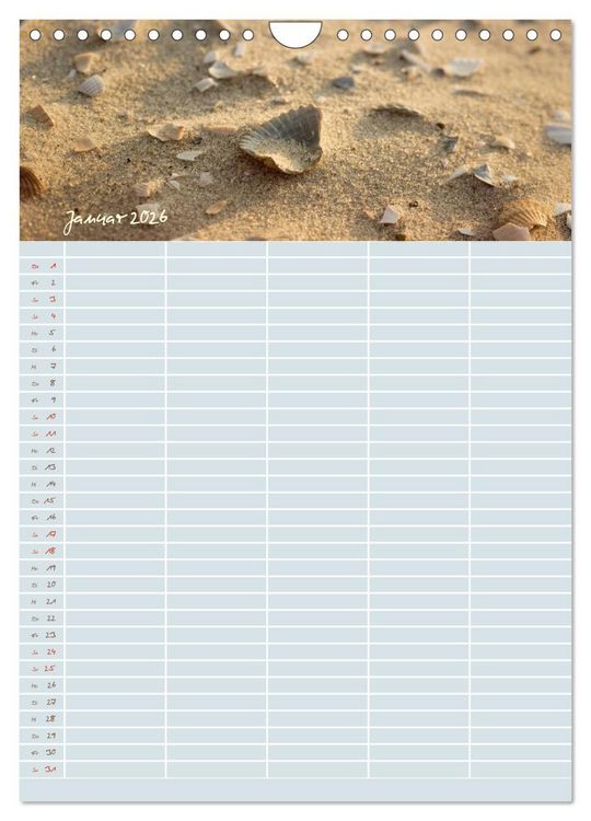 Produktbild: Kleine Sand-Sch&ouml;nheiten / Familienplaner (Wandkalender 2026 DIN A4 hoch), CALVENDO Monatskalender