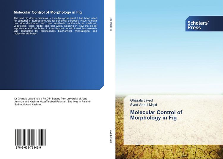 Produktbild: Molecular Control of Morphology in Fig