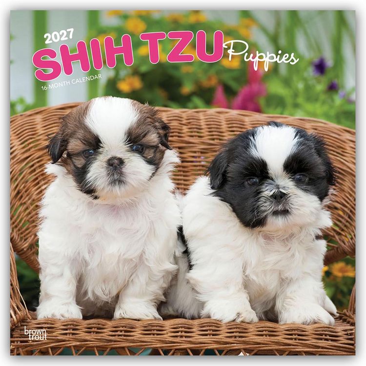 Produktbild: Shih Tzu Puppies &ndash; Shih Tzu Welpen 2027 &ndash; 16-Monatskalender