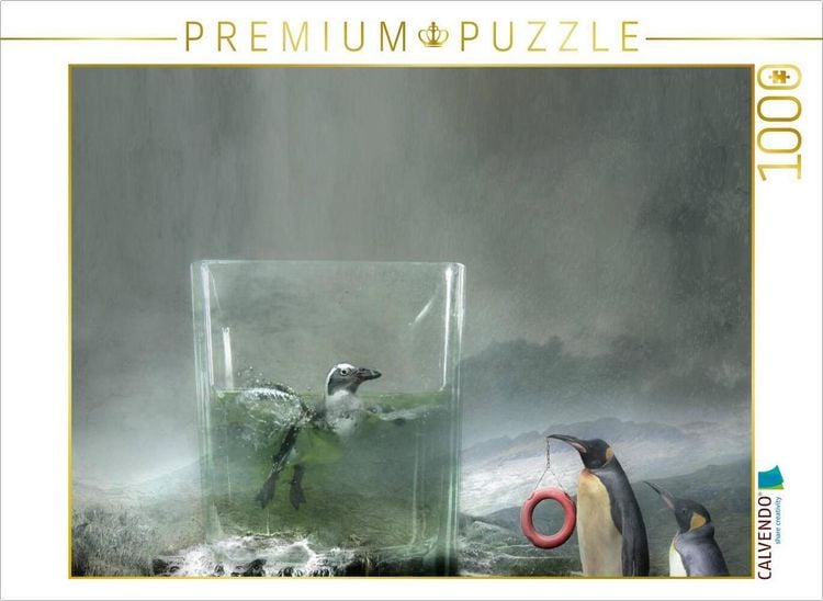 Produktbild: CALVENDO Puzzle Und nun? | 1000 Teile Lege-Gr&ouml;&szlig;e 64x48cm Foto-Puzzle f&uuml;r gl&uuml;ckliche Stunden