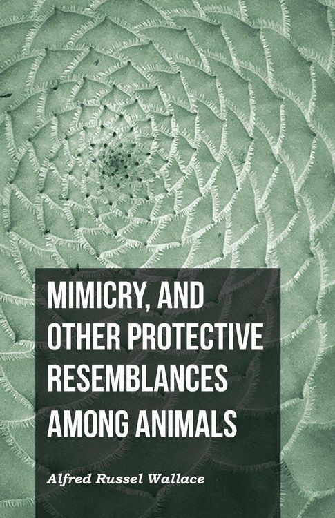 Produktbild: Mimicry, and Other Protective Resemblances Among Animals