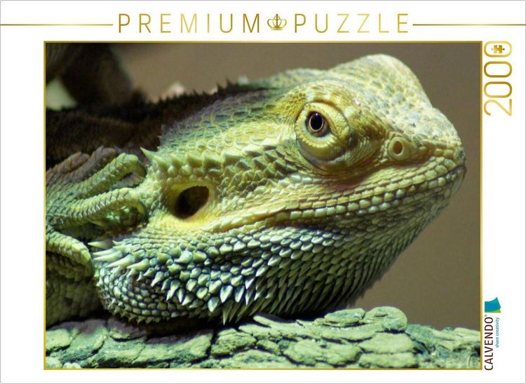 Produktbild: CALVENDO Puzzle Bartagame | 2000 Teile Lege-Gr&ouml;&szlig;e 90x67cm Foto-Puzzle f&uuml;r gl&uuml;ckliche Stunden
