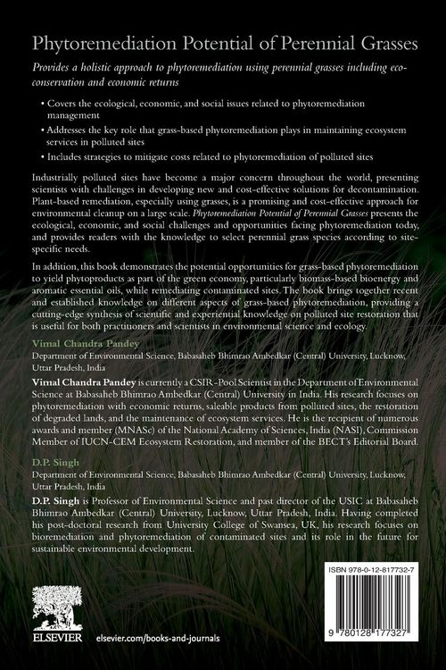 Produktbild: Phytoremediation Potential of Perennial Grasses