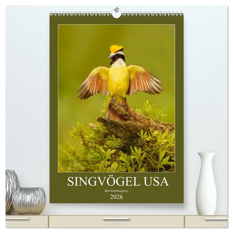 Produktbild: Singv&ouml;gel USA (hochwertiger Premium Wandkalender 2026 DIN A2 hoch), Kunstdruck in Hochglanz