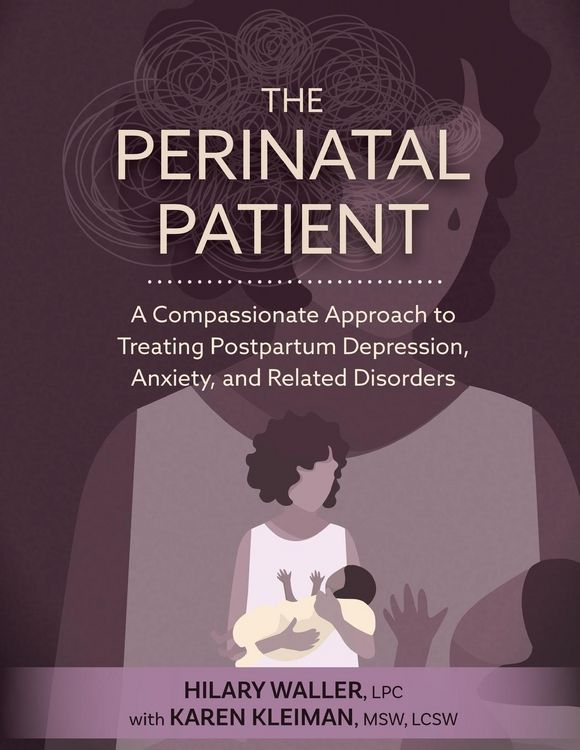 Produktbild: The Perinatal Patient