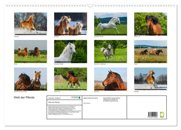 Produktbild: Welt der Pferde (Wandkalender 2026 DIN A2 quer), CALVENDO Monatskalender