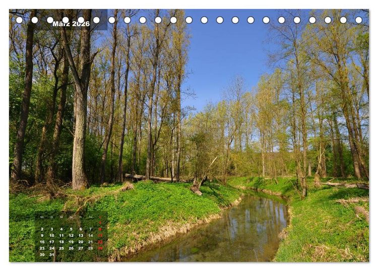 Produktbild: Zauberhafte Waldlandschaften (Tischkalender 2026 DIN A5 quer), CALVENDO Monatskalender