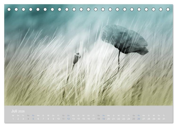 Produktbild: Zauber des Mohns (Tischkalender 2026 DIN A5 quer), CALVENDO Monatskalender