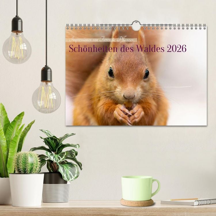 Produktbild: Sch&ouml;nheiten des Waldes (Wandkalender 2026 DIN A4 quer), CALVENDO Monatskalender