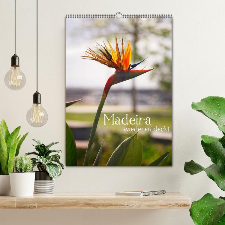 Produktbild: Madeira - wiederentdeckt (Wandkalender 2026 DIN A2 hoch), CALVENDO Monatskalender