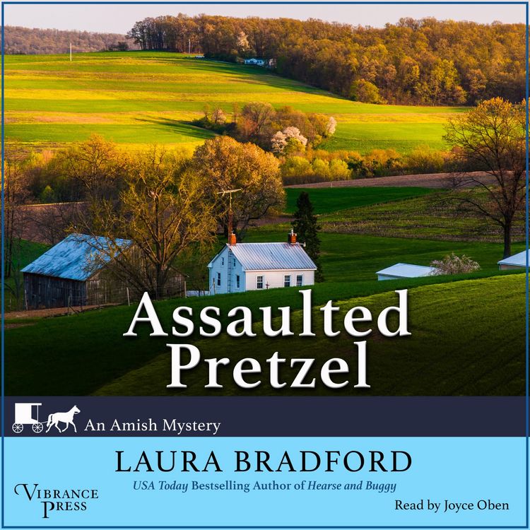 Produktbild: Assaulted Pretzel