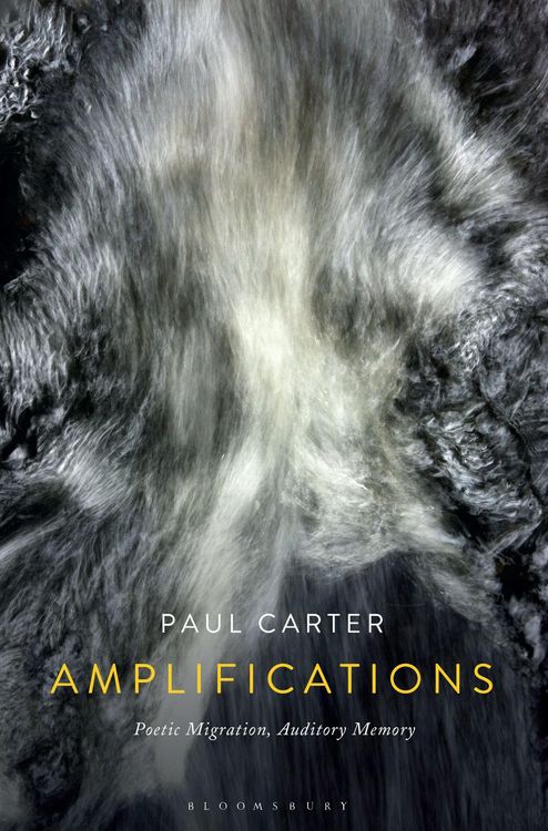 Produktbild: Amplifications