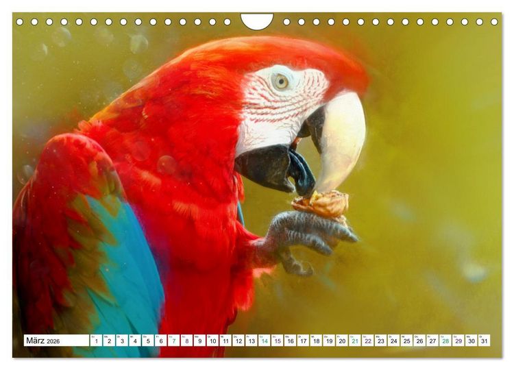Produktbild: Papageien und Sittiche - Kunstbilder (Wandkalender 2026 DIN A4 quer), CALVENDO Monatskalender