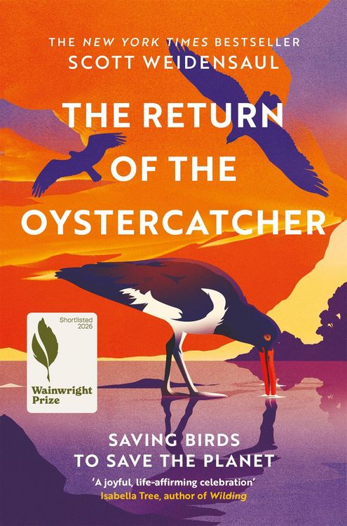 Produktbild: The Return of the Oystercatcher