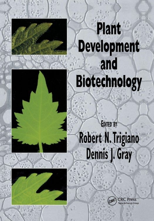 Produktbild: Plant Development and Biotechnology