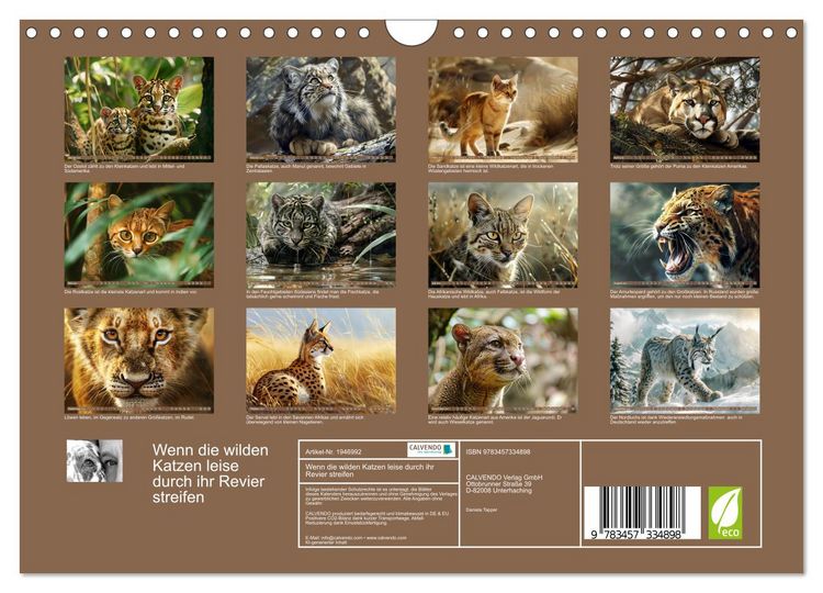 Produktbild: Wenn die wilden Katzen leise durch ihr Revier streifen (Wandkalender 2026 DIN A4 quer), CALVENDO Monatskalender