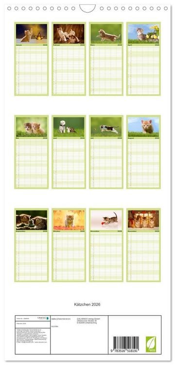 Produktbild: Familienplaner 2026 - K&auml;tzchen 2026 mit 5 Spalten (Wandkalender, 21 x 45 cm) CALVENDO