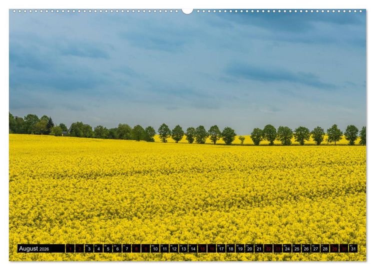 Produktbild: Ostsee - Boltenhagen (Wandkalender 2026 DIN A2 quer), CALVENDO Monatskalender