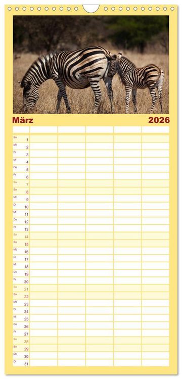 Produktbild: Familienplaner 2026 - Tierbabys 2026 mit 5 Spalten (Wandkalender, 21 x 45 cm) CALVENDO