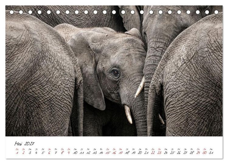 Produktbild: Better Together - Herdenmomente (Tischkalender 2027 DIN A5 quer), CALVENDO Monatskalender