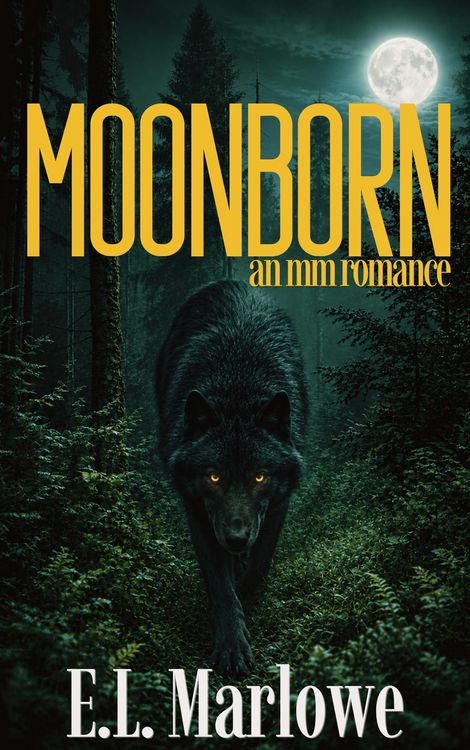 Produktbild: Moonborn: an MM Romance