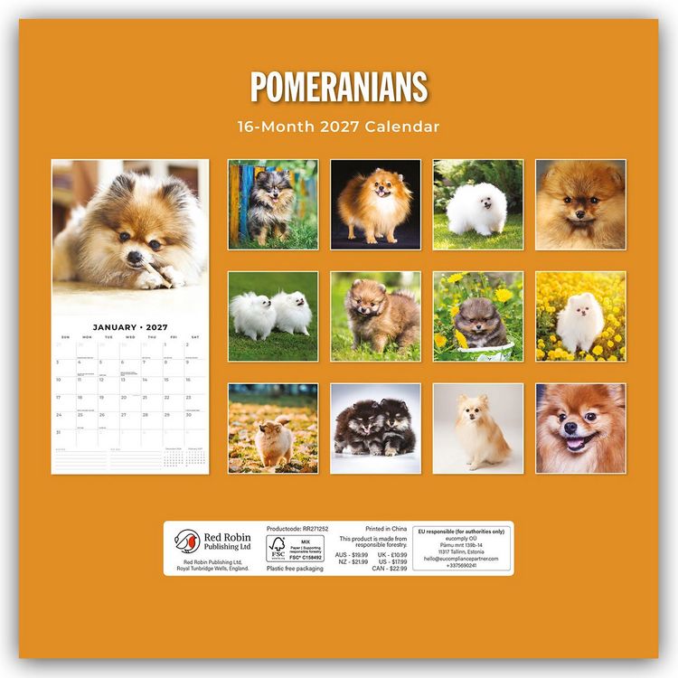 Produktbild: Pomeranians &ndash; Zwergspitz &ndash; Pomeranian Zwergspitz 2027 &ndash; 16-Monatskalender