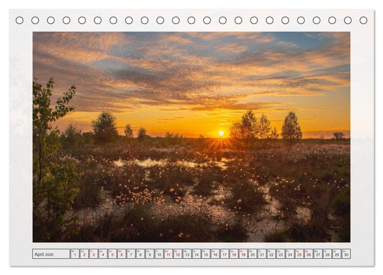 Produktbild: Naturpark D&uuml;mmer (Tischkalender 2026 DIN A5 quer), CALVENDO Monatskalender