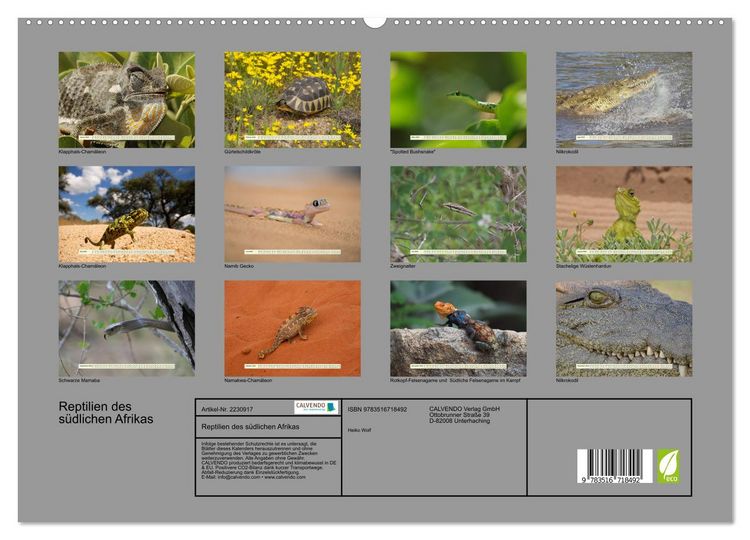 Produktbild: Reptilien des s&uuml;dlichen Afrikas (hochwertiger Premium Wandkalender 2026 DIN A2 quer), Kunstdruck in Hochglanz