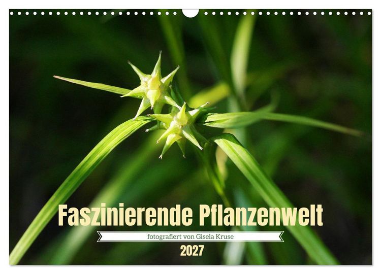 Produktbild: Faszinierende Pflanzenwelt (Wandkalender 2027 DIN A3 quer), CALVENDO Monatskalender