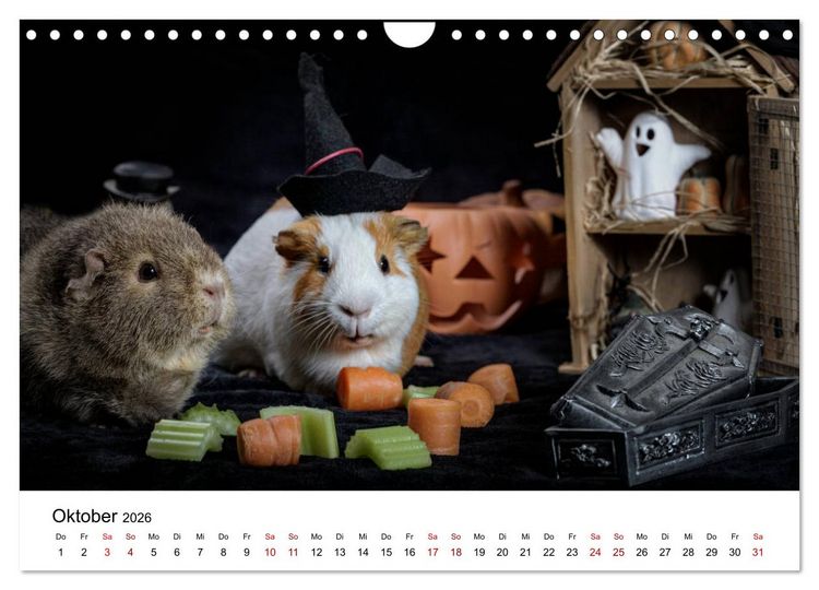 Produktbild: Unsere Meerschweinchen (Wandkalender 2026 DIN A4 quer), CALVENDO Monatskalender