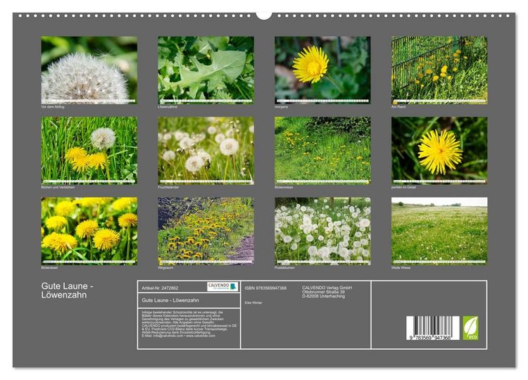 Produktbild: Gute Laune - L&ouml;wenzahn (hochwertiger Premium Wandkalender 2027 DIN A2 quer), Kunstdruck in Hochglanz