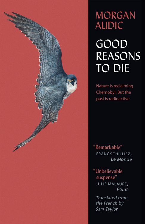 Produktbild: Good Reasons to Die