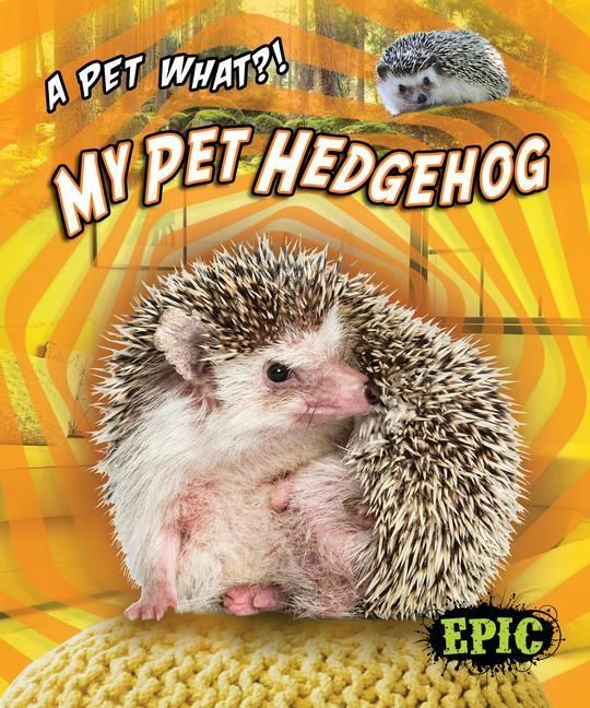 Produktbild: My Pet Hedgehog