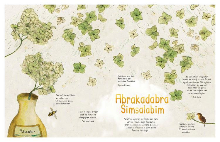 Produktbild: Ansichten der Natur