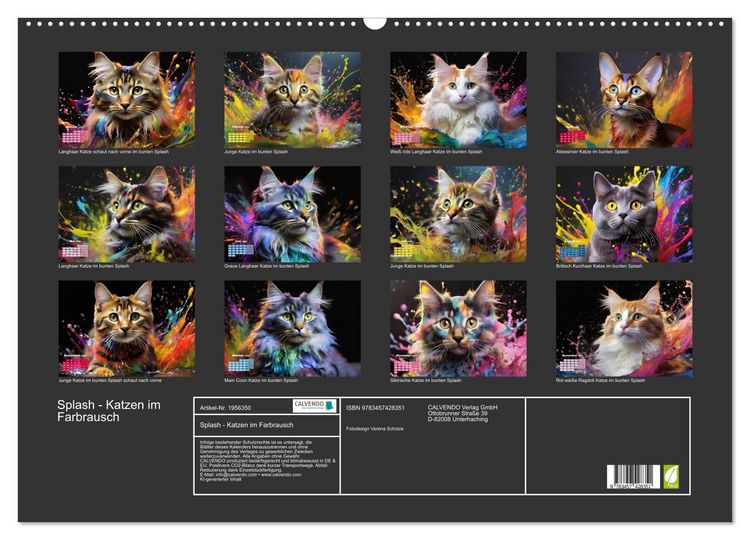 Produktbild: Splash - Katzen im Farbrausch (Wandkalender 2026 DIN A2 quer), CALVENDO Monatskalender