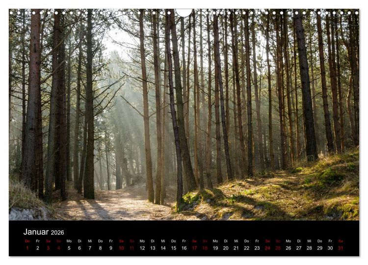 Produktbild: Polen - Reise durch unser sch&ouml;nes Nachbarland (Wandkalender 2026 DIN A3 quer), CALVENDO Monatskalender