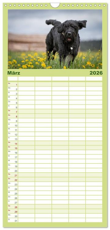 Produktbild: Familienplaner 2026 - Schnauzer... von Zwergen und Riesen 2026 mit 5 Spalten (Wandkalender, 21 x 45 cm) CALVENDO