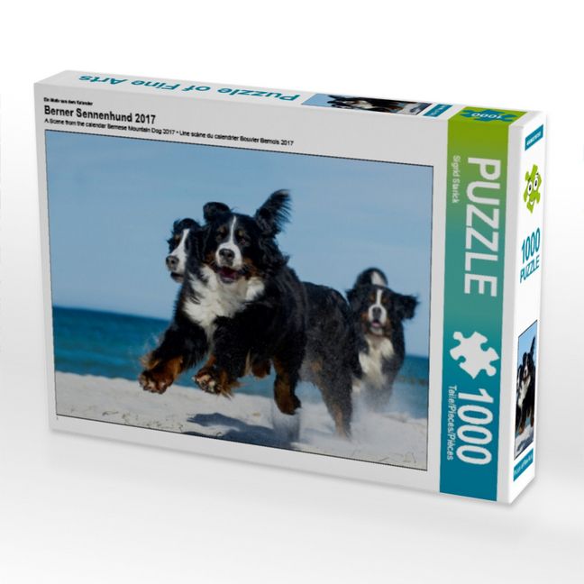 Produktbild: CALVENDO Puzzle Ein Motiv aus dem Kalender Berner Sennenhund 2017 | 1000 Teile Lege-Gr&ouml;&szlig;e 64x48cm Foto-Puzzle f&uuml;r gl&uuml;ckliche Stunden