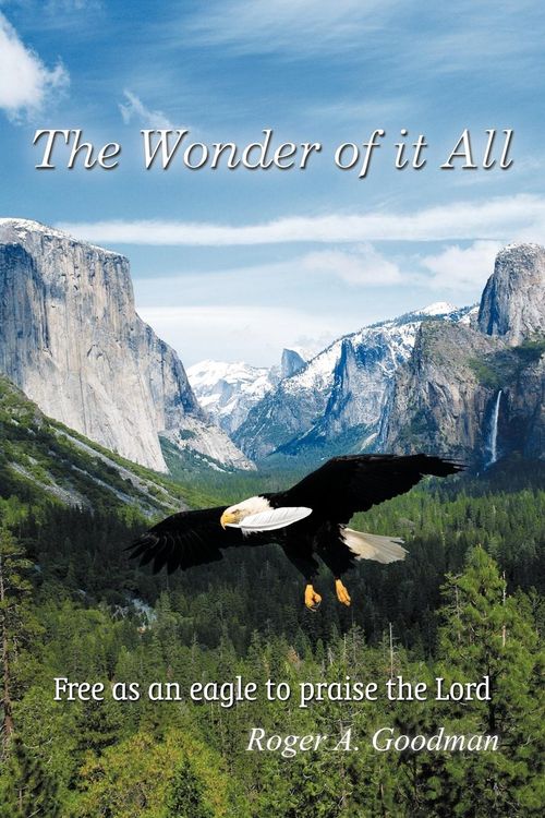 Produktbild: The Wonder of It All