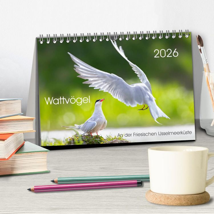 Produktbild: Wattv&ouml;gel an der Friesischen IJsselmeerk&uuml;ste (Tischkalender 2026 DIN A5 quer), CALVENDO Monatskalender