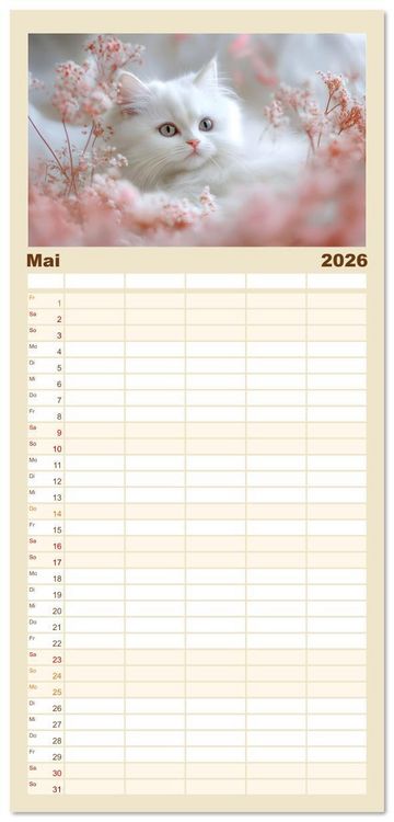 Produktbild: Familienplaner 2026 - Katzen - sanfte Sch&ouml;nheiten mit 5 Spalten (Wandkalender, 21 x 45 cm) CALVENDO