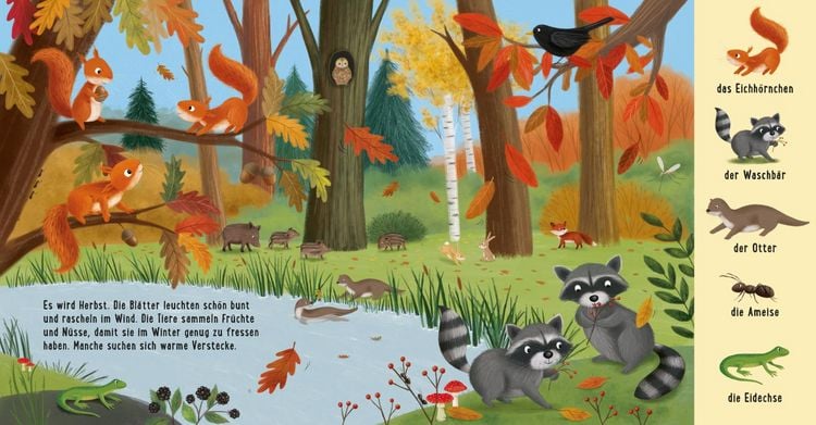 Produktbild: Mein erstes Natur-Wimmelbuch: Tiere im Wald