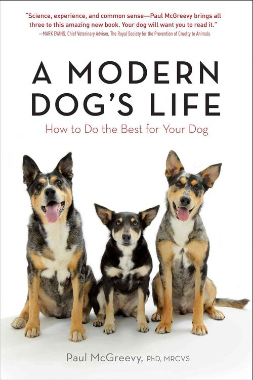 Produktbild: A Modern Dog's Life