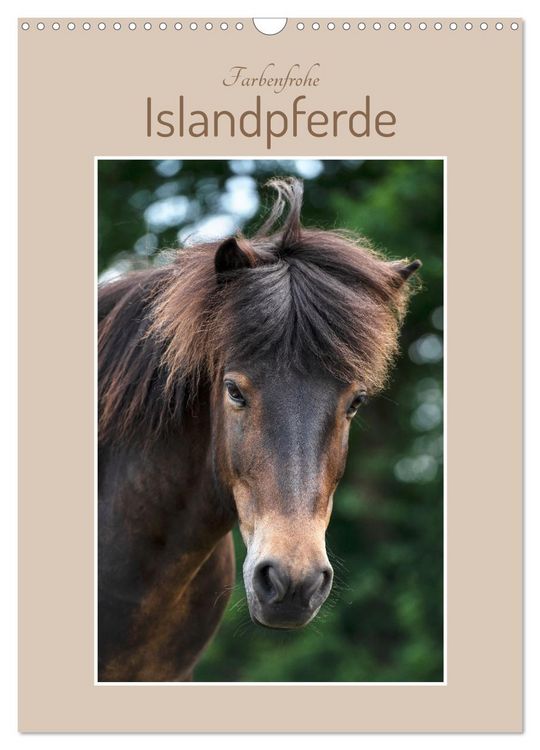 Produktbild: Farbenfrohe Islandpferde (Wandkalender 2026 DIN A3 hoch), CALVENDO Monatskalender