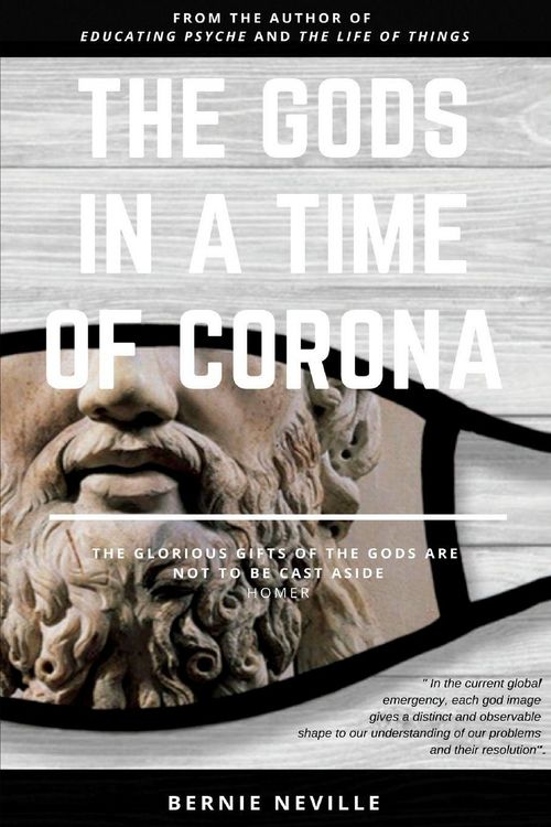 Produktbild: The Gods in a Time of Corona