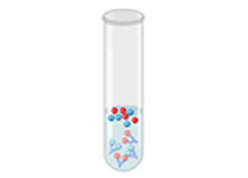 Produktbild: Immunochemical Methods-2