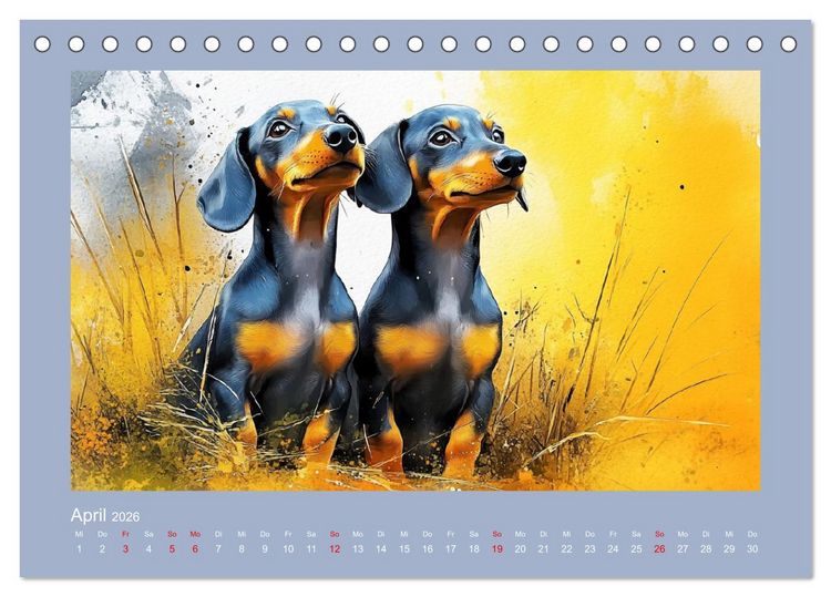 Produktbild: Dackelzauber. Charmante Begleiter im lieblichen Aquarell-Stil (Tischkalender 2026 DIN A5 quer), CALVENDO Monatskalender