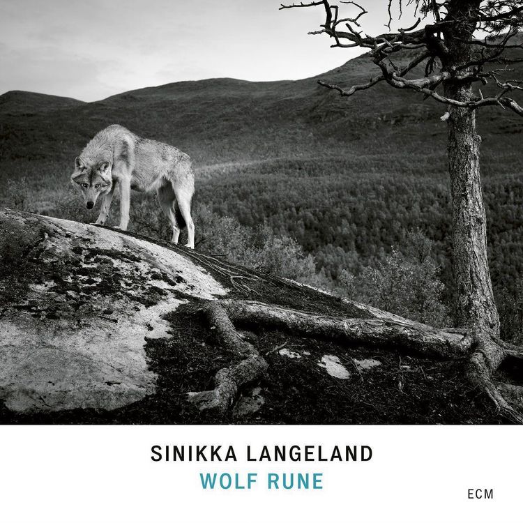 Produktbild: Wolf Rune