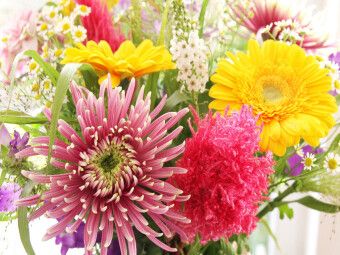 Produktbild: CALVENDO Puzzle Bunte Mischung mit Chrysantheme | 1000 Teile Lege-Gr&ouml;&szlig;e 64x48cm Foto-Puzzle f&uuml;r gl&uuml;ckliche Stunden