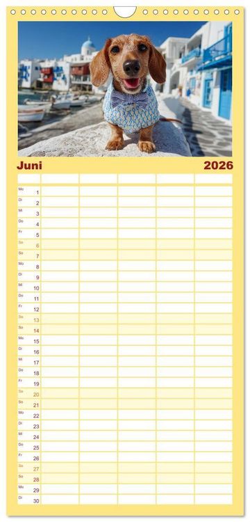 Produktbild: Familienplaner 2026 - Dackel auf gro&szlig;er Tour - S&uuml;&szlig;e Hunde entdecken die Welt mit 5 Spalten (Wandkalender, 21 x 45 cm) CALVENDO